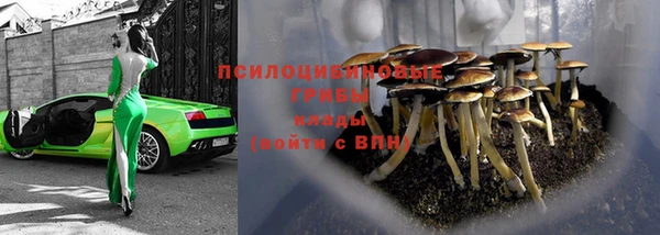 дурь Алзамай