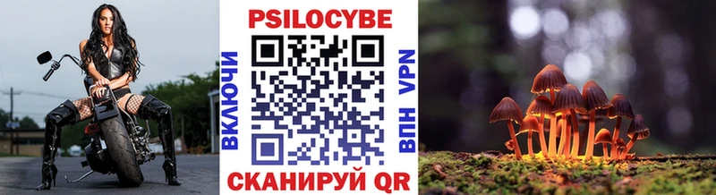 Псилоцибиновые грибы Psilocybe дарк нет состав Фролово магазин продажи