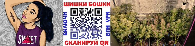 цена наркотик  Фролово  Конопля Ganja 
